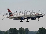 Avion 06