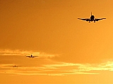 Avion 14