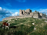 Cashel Castle, Ireland.jpg