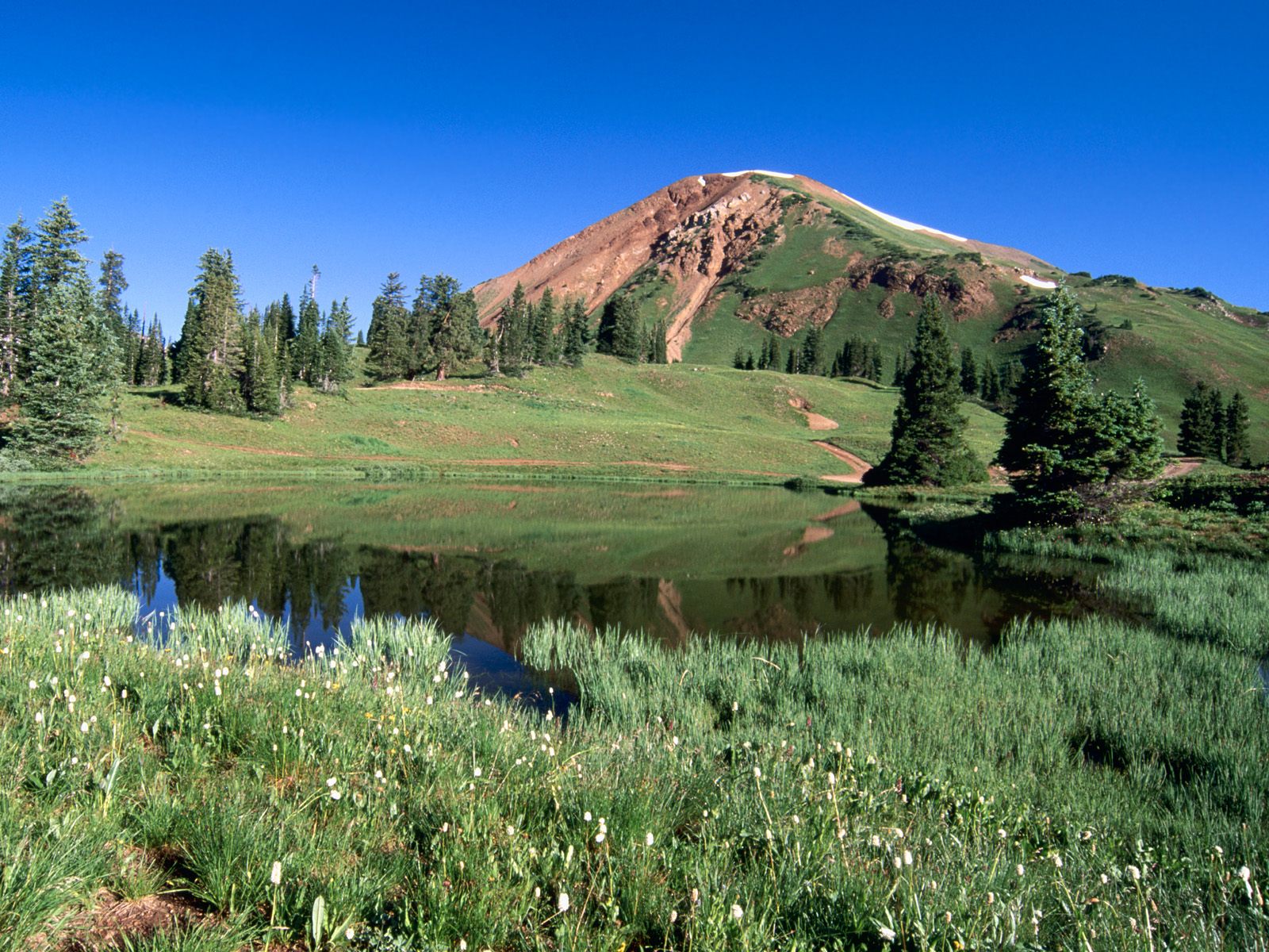Alpine Tarn and Mount Belleview, Paradise Divide, Colorado.jpg