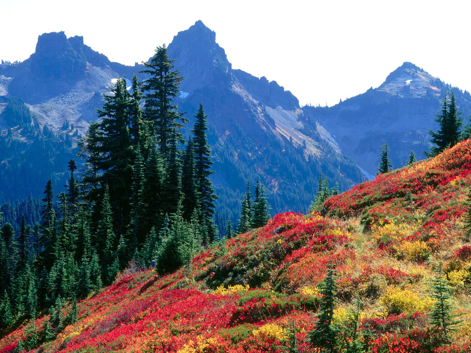 Autumn Colors the Tatoosh Range, Mount Rainier National Park, Washington.jpg
