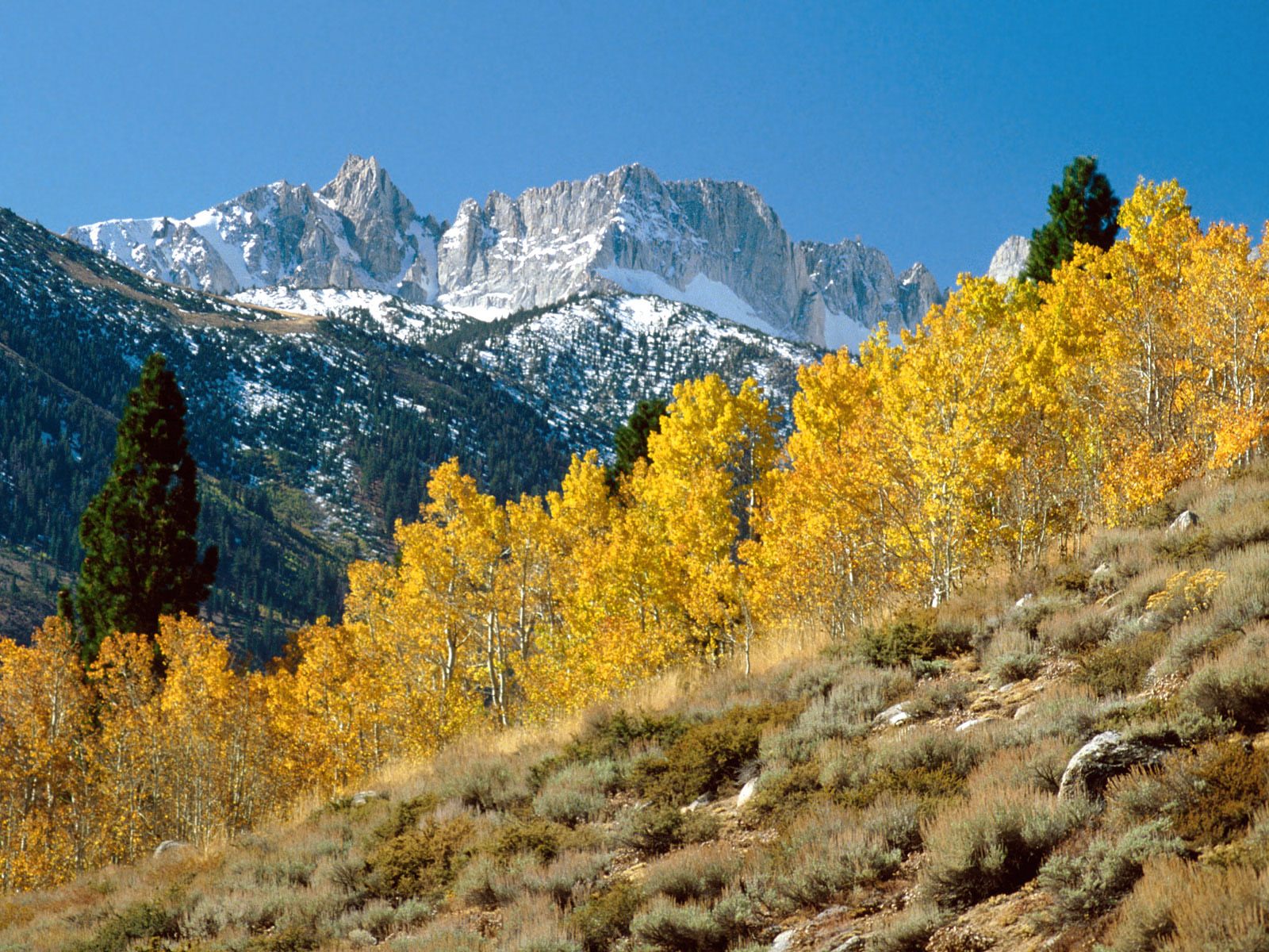 Autumn at Matterhorn Peak, Sawtooth Range, California.jpg