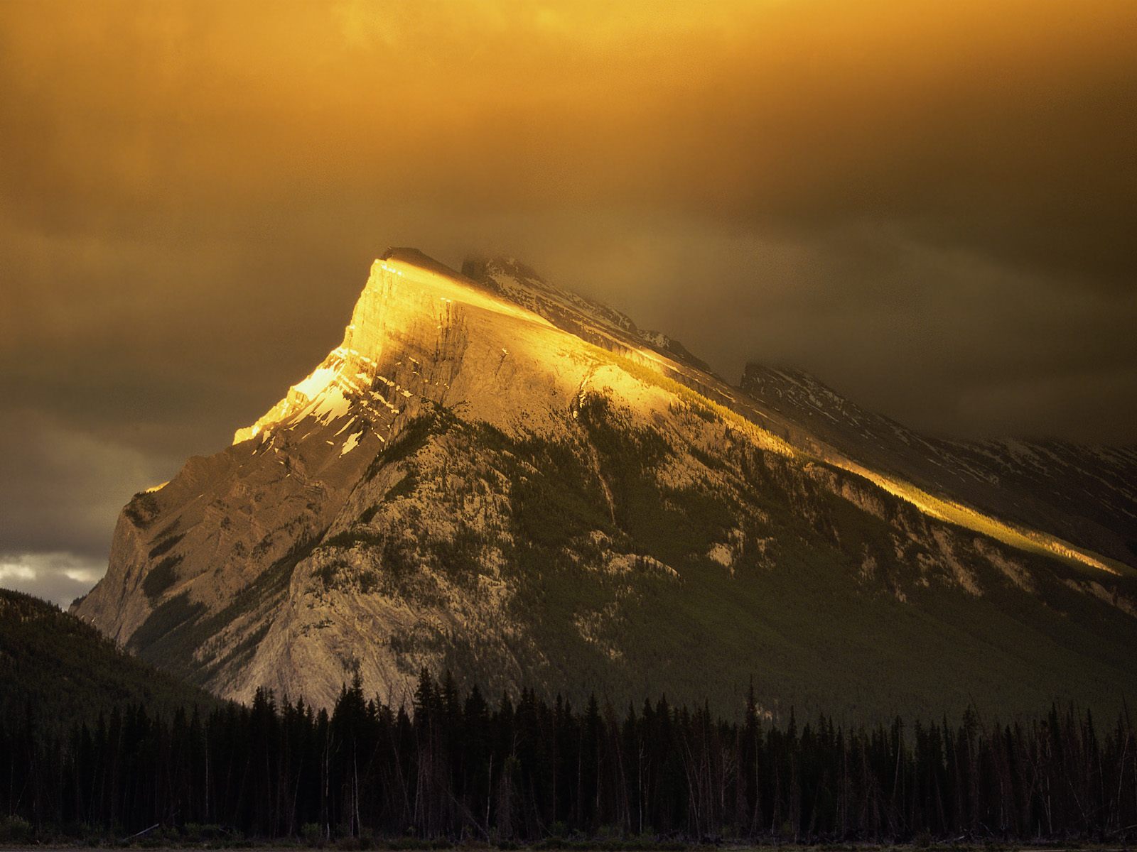 Golden Peaks of Rundle Mountain, Banff National Park, Alberta.jpg