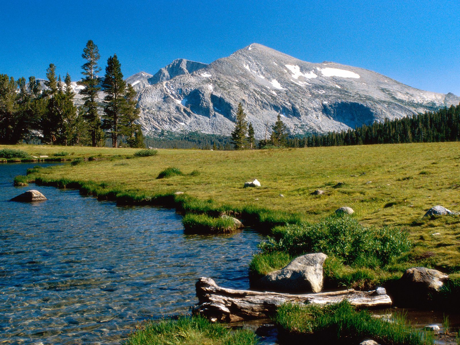 Mammoth Peak, Yosemite National Park,  California.jpg