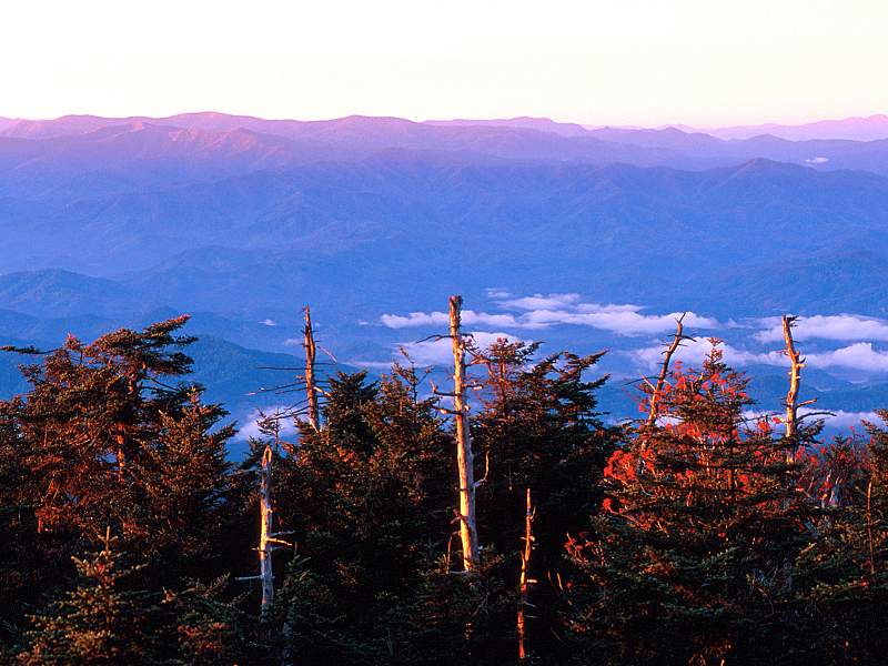 Morning Light, Great Smoky Mountains, North Carolina.jpg