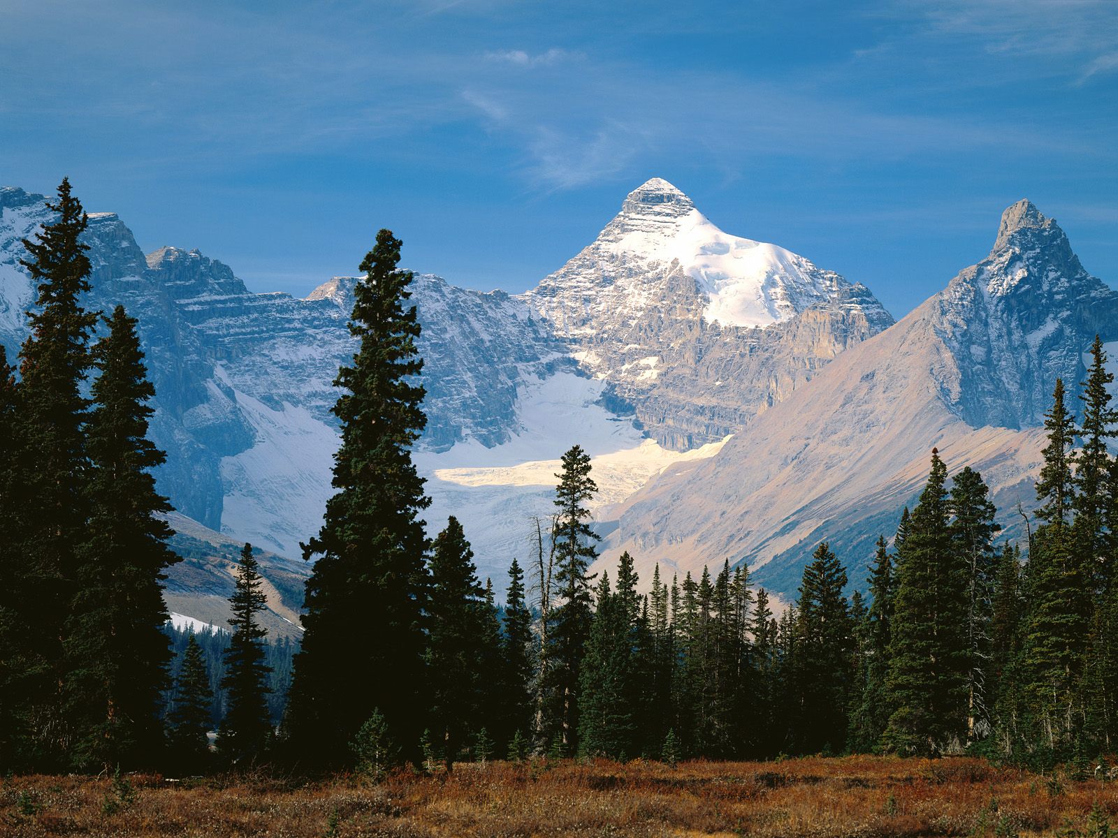 Mount Athabasca, Jasper National Park, Alberta.jpg