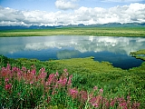 Alaska Range, Alaska.jpg