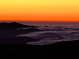 Foggy Sunset Over Clingman's Dome, Great Smoky Mountains.jpg