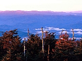 Morning Light, Great Smoky Mountains, North Carolina.jpg