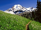 Mount Baker Snoqualmie, National Forest, Washington.jpg