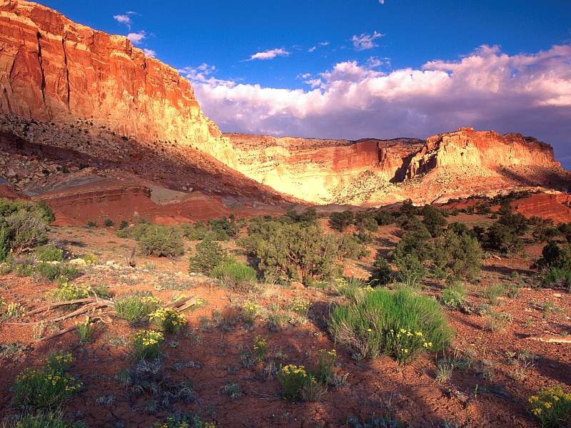 Reef National Park, Utah.jpg