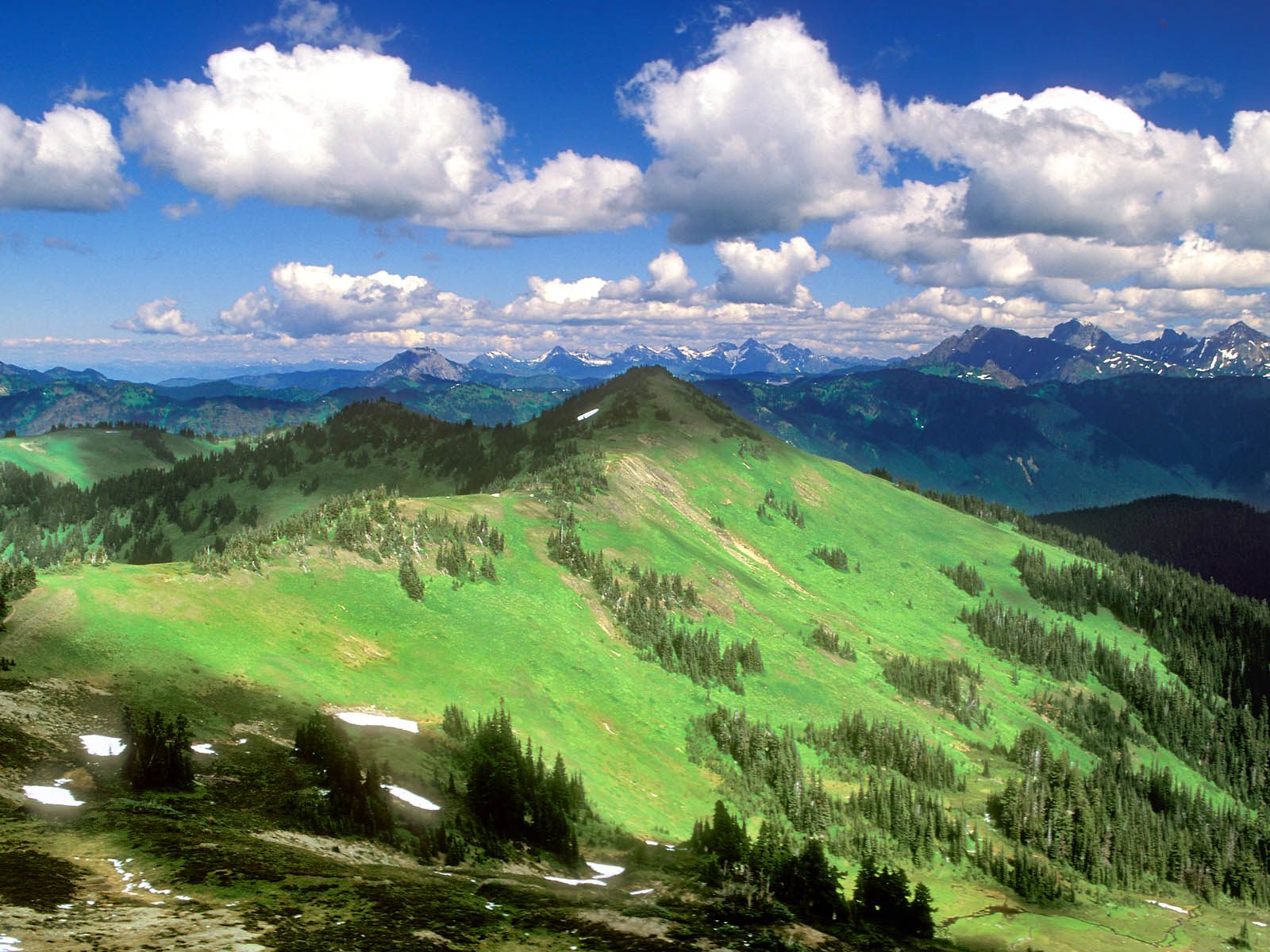 Skyline Divide, Mount Baker Wilderness, Washington.jpg