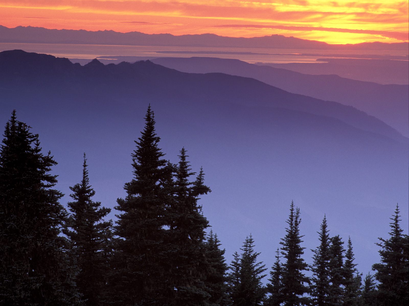 Skyline Divide, Near Mount Baker, Washington.jpg