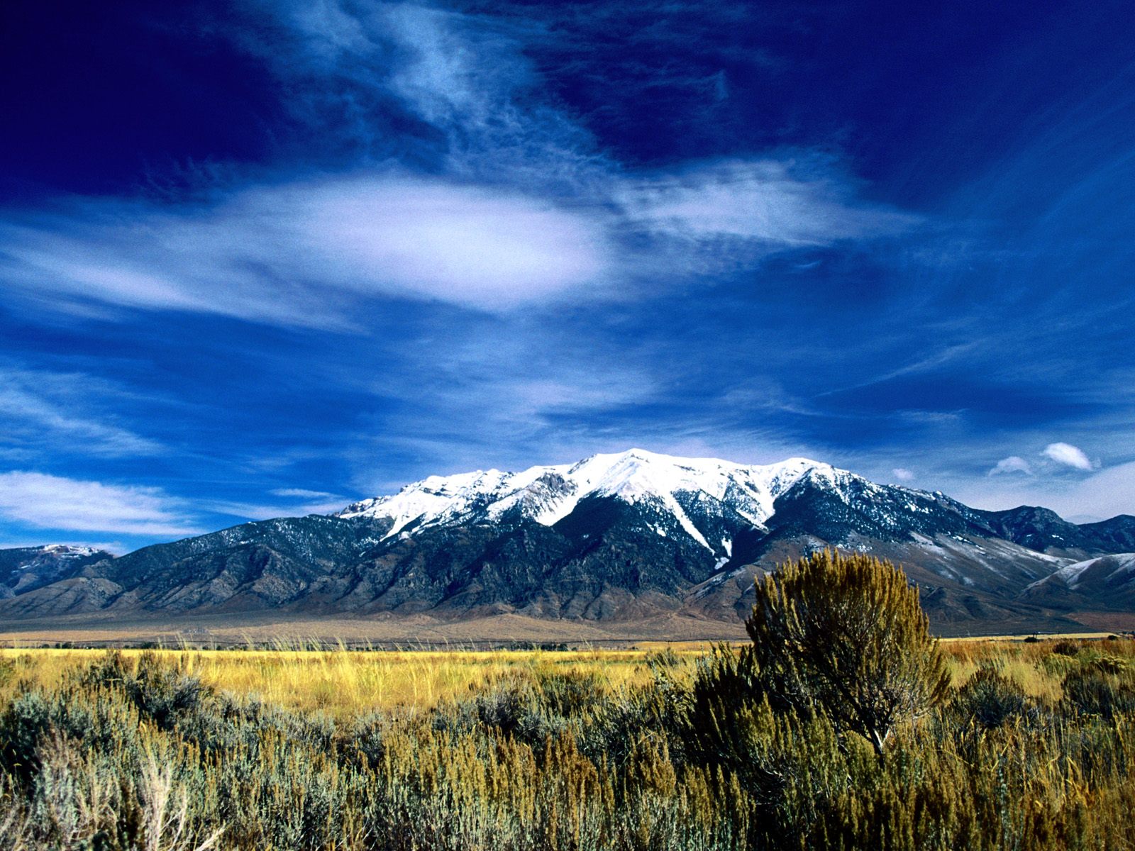 Snow-Capped, Northern Idaho.jpg