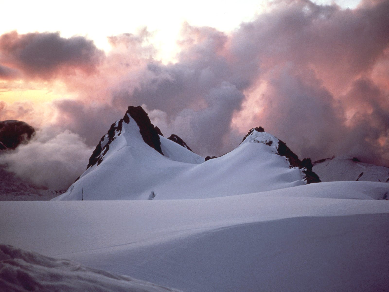 Sunset on the Fox Glacier, New Zealand Alps.jpg