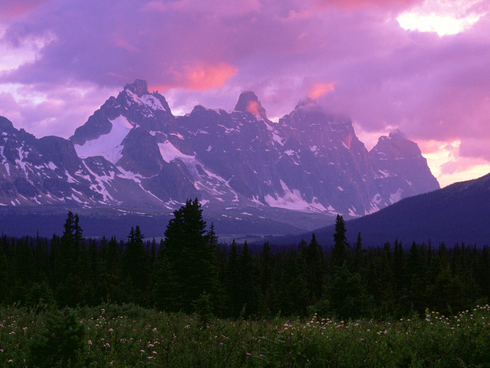 The Ramparts, Canadian Rockies.jpg