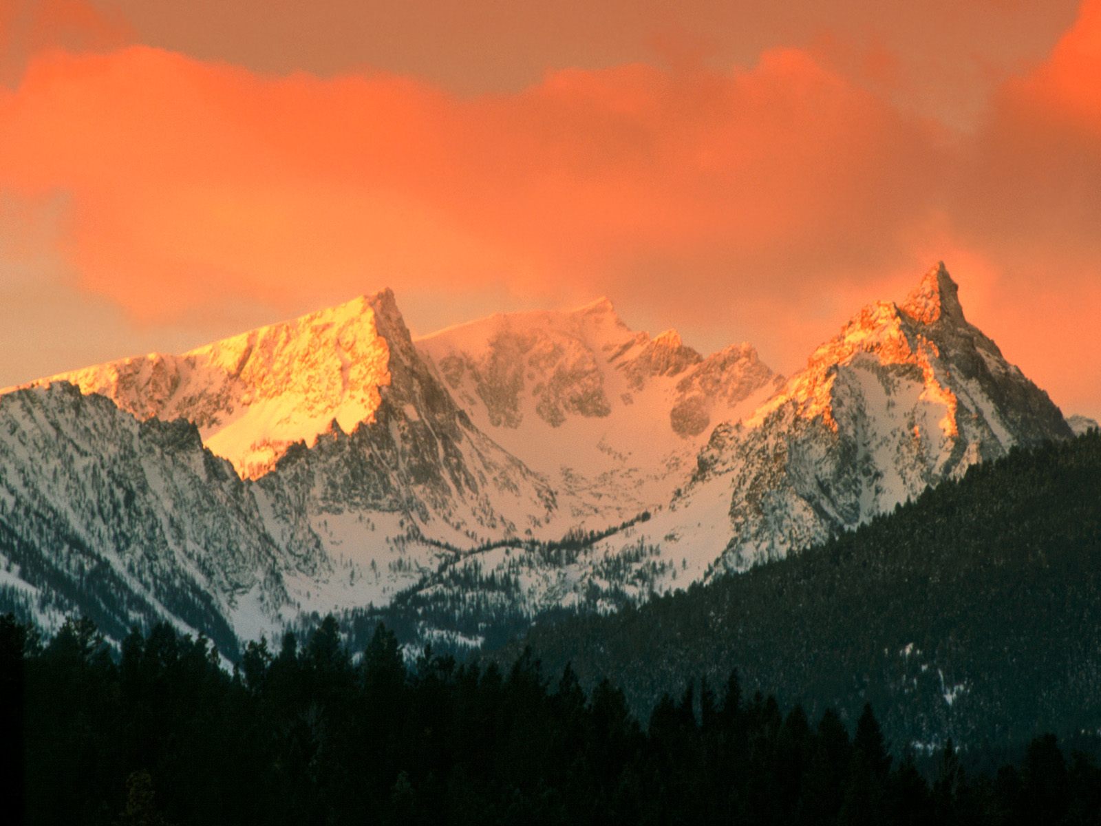 Trapper Peak, Bitterroot Mountains, Montana.jpg