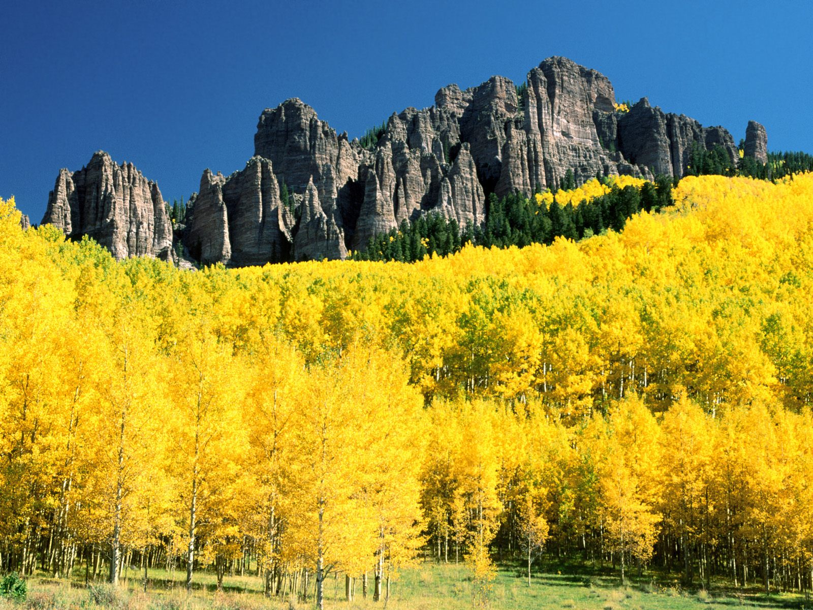 Uncompahgre Peak with Surrounding Aspen, Colorado.jpg