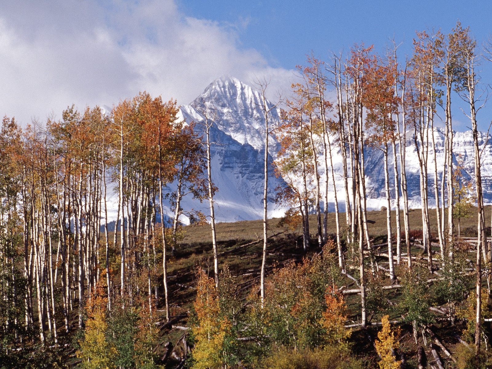 Wilson Peak, San Juan Range, Colorado.jpg