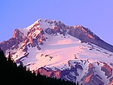 Sunset Colors the Slopes of Mount Hood, Oregon.jpg