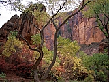 The Pulpet Of Sinawava, Zion, Utah.jpg