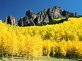 Uncompahgre Peak with Surrounding Aspen, Colorado.jpg
