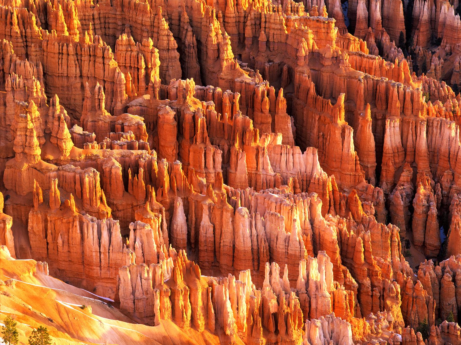 Hoodoos Formations, Bryce Canyon, Utah.jpg