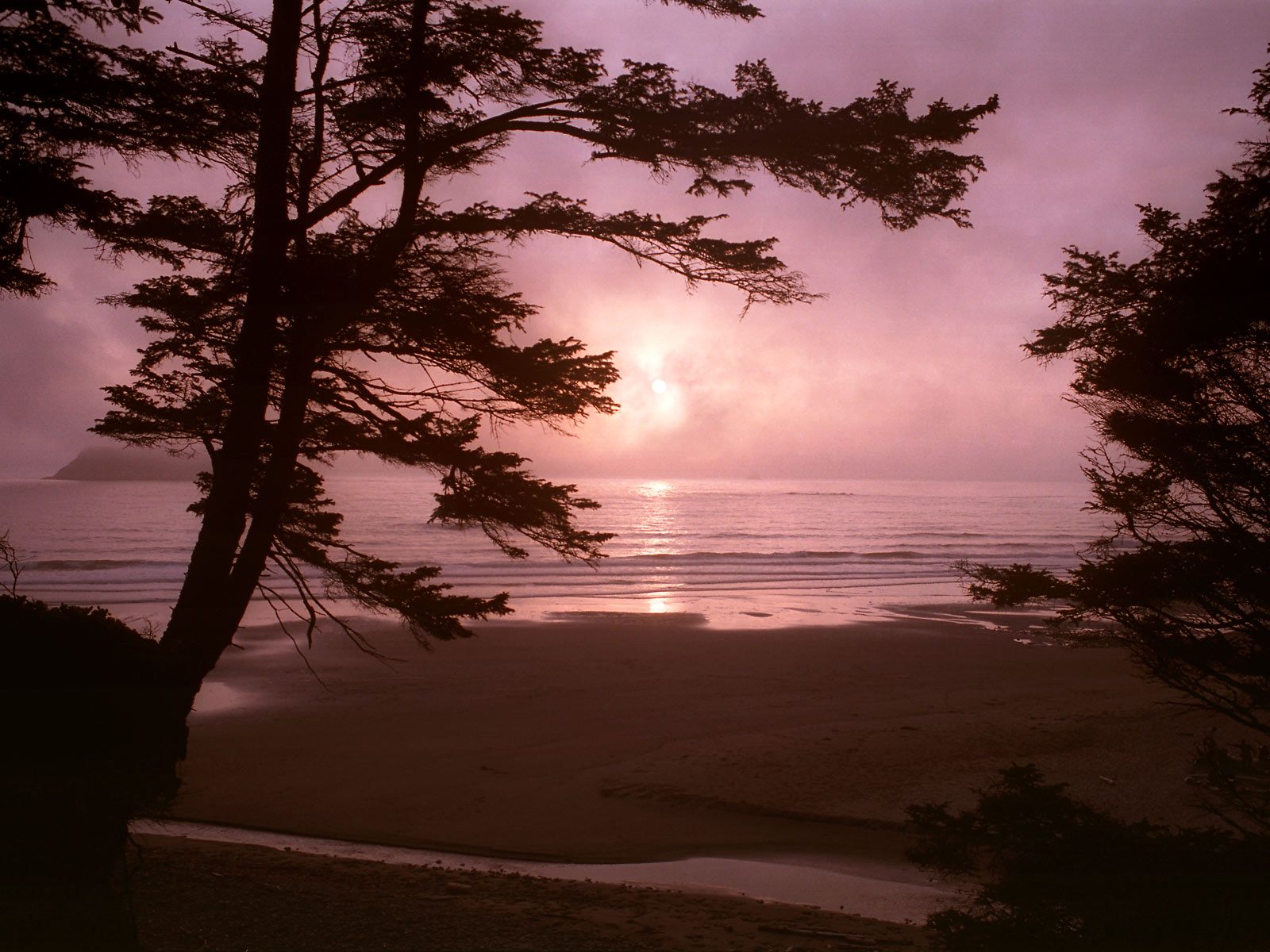 Mosquito Creek Meets the Sea, Olympic National Park, Washington.jpg