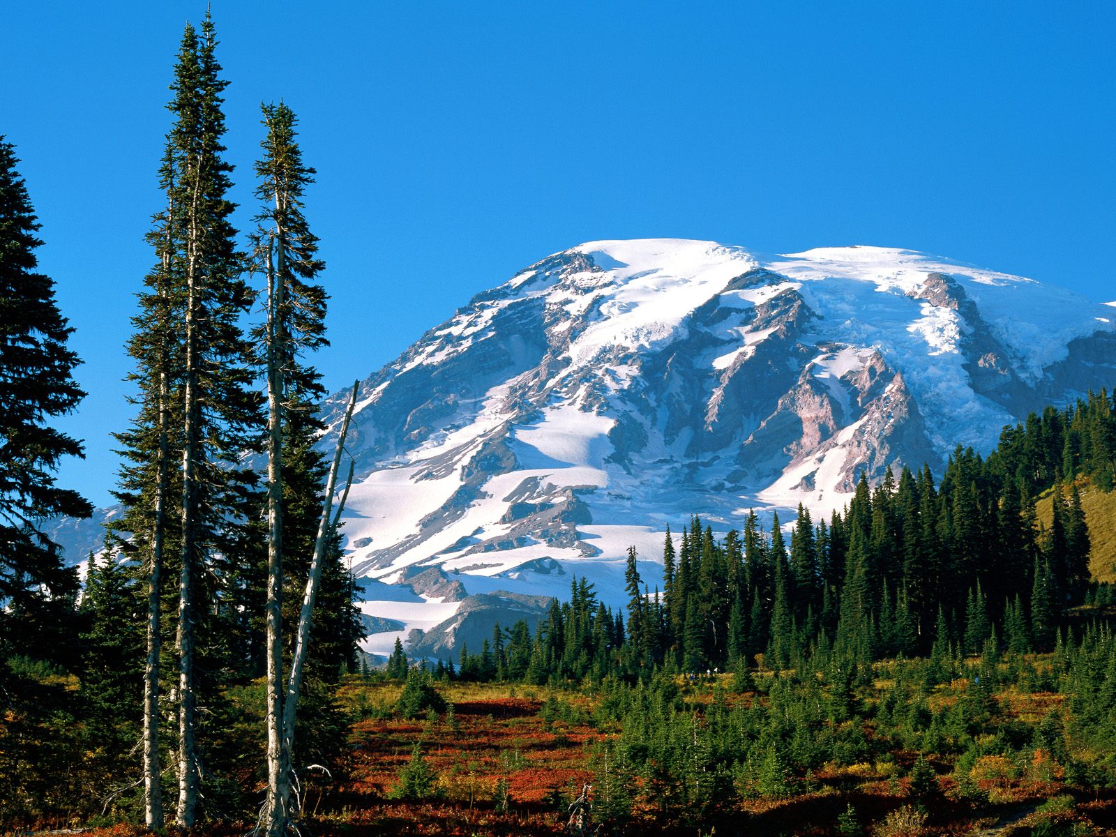 Mount Rainier, Mount Rainier National Park, Washington.jpg