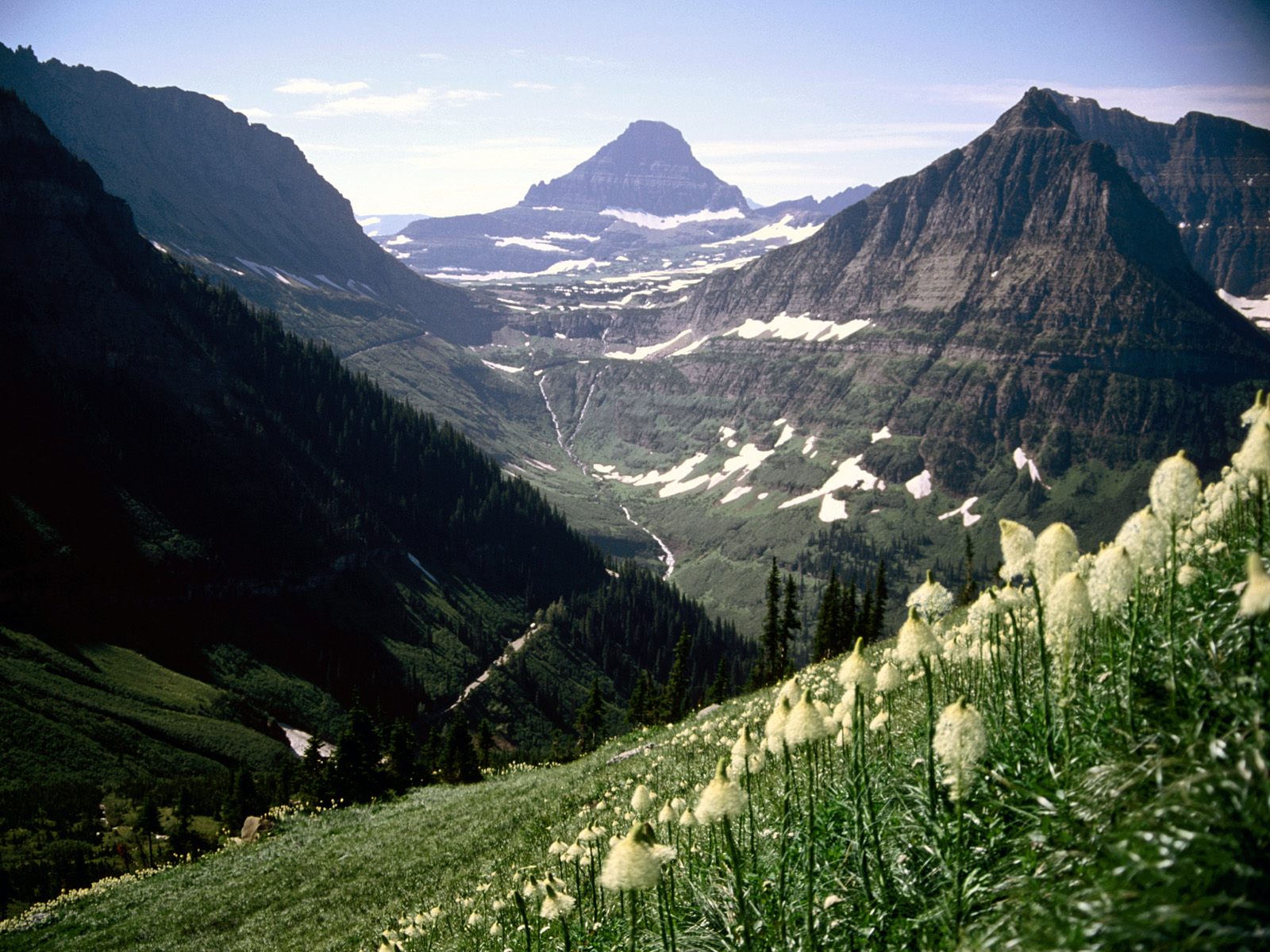 Mount Reynolds, Glacier National Park, Montana.jpg