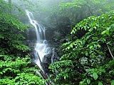 Lower Doyles River Falls, Shenandoah National Park, Virginia.jpg