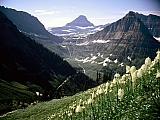Mount Reynolds, Glacier National Park, Montana.jpg